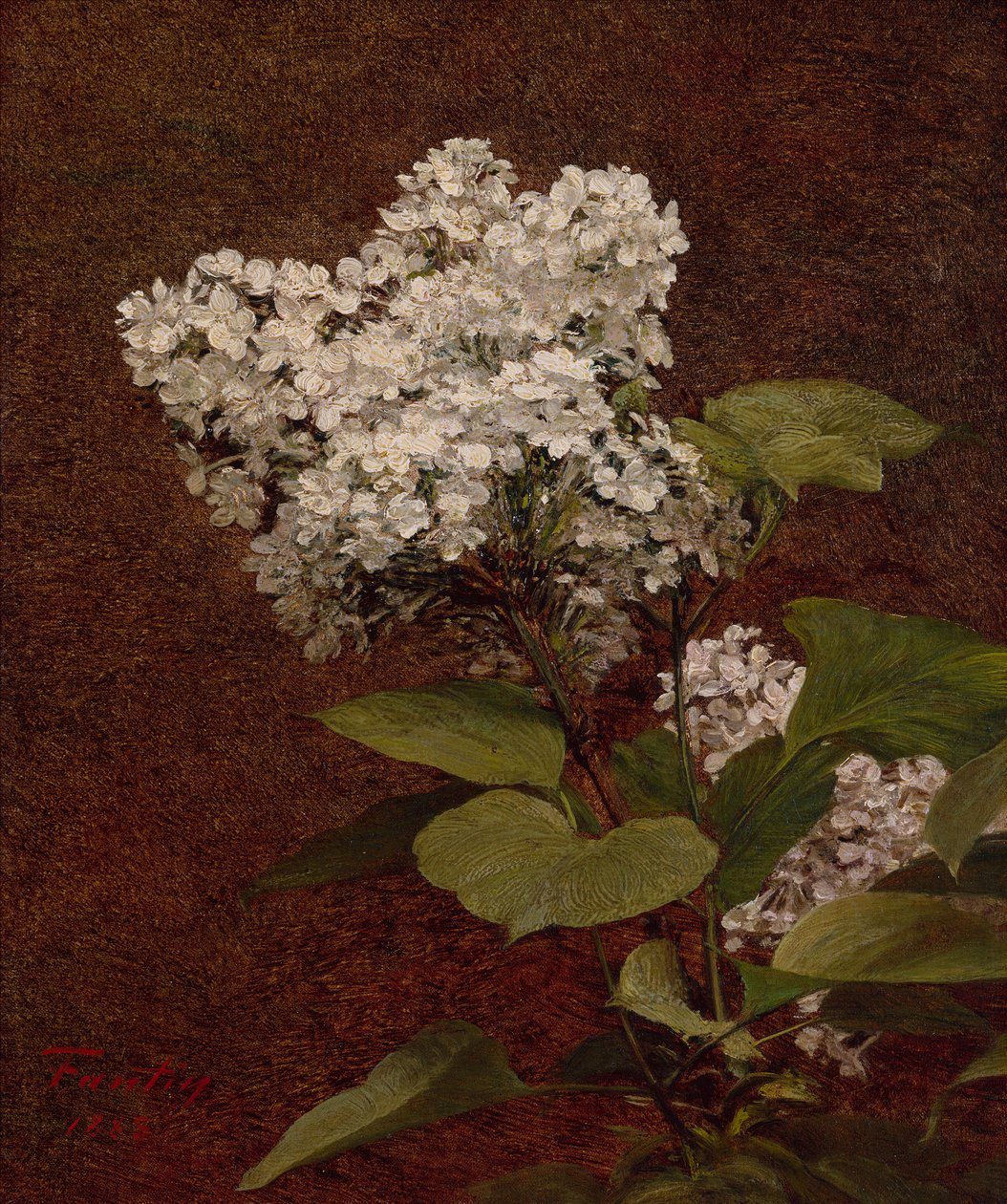Witte seringen door Ignace Henri Jean Fantin Latour