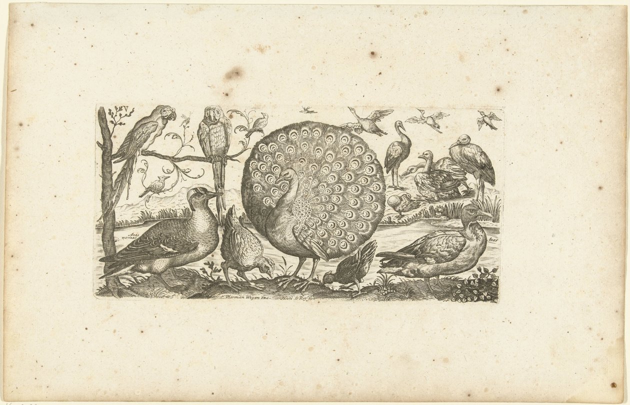 Achttien vogels door Henri Le Roy