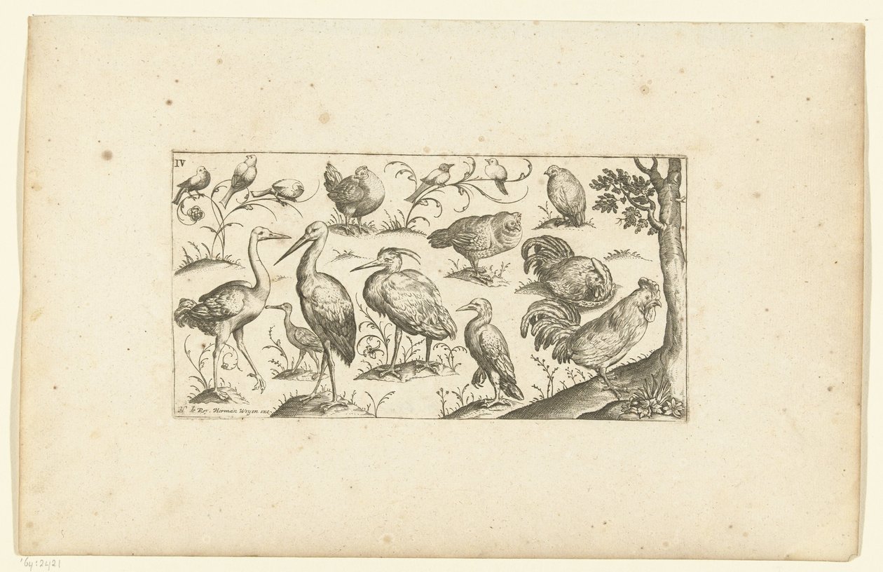Vijftien vogels door Henri Le Roy