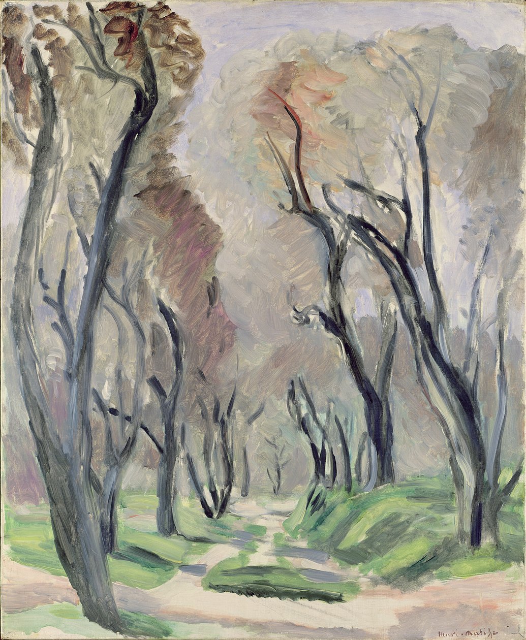 Olijfboomlaan door Henri Matisse