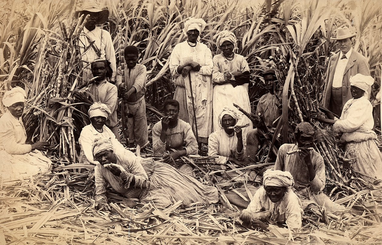Suikerrietsnijders, Jamaica door Henri S. Duperly