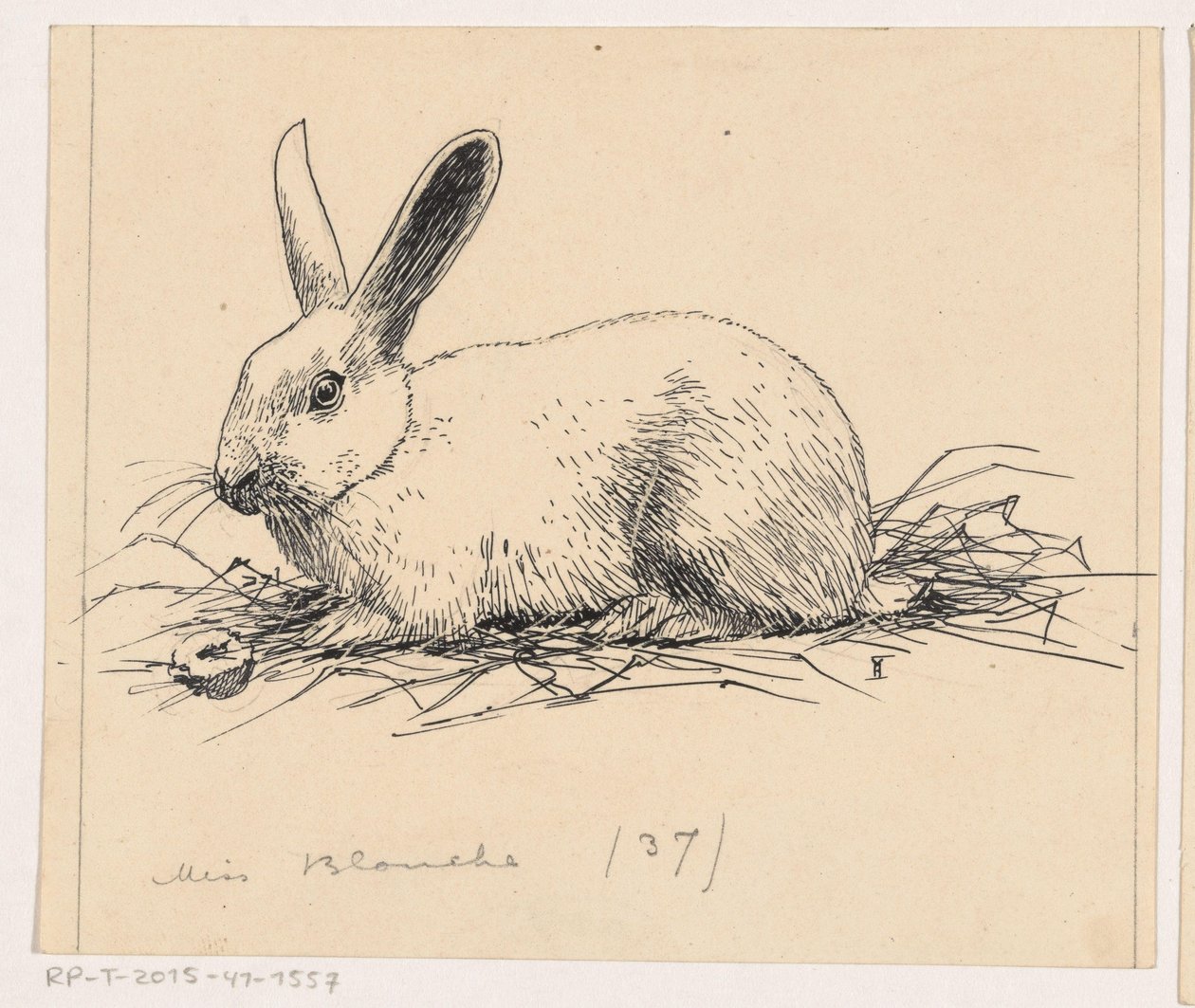 Konijn door Henri Verstijnen (signed by artist)