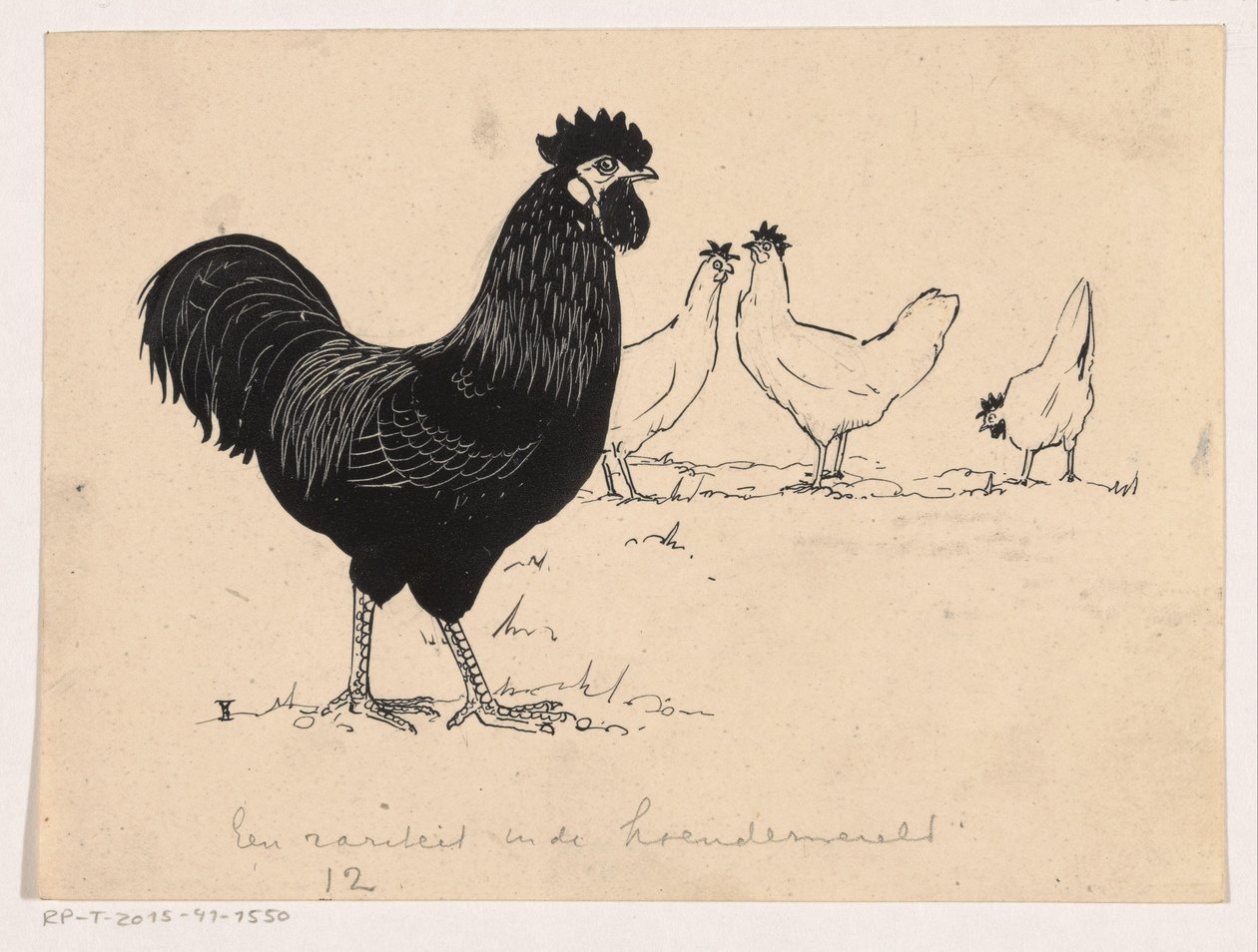 Hoenders door Henri Verstijnen
