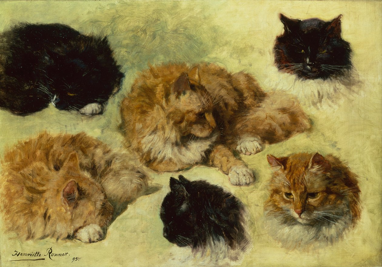 Studies van Katten door Henriëtte Ronner Knip