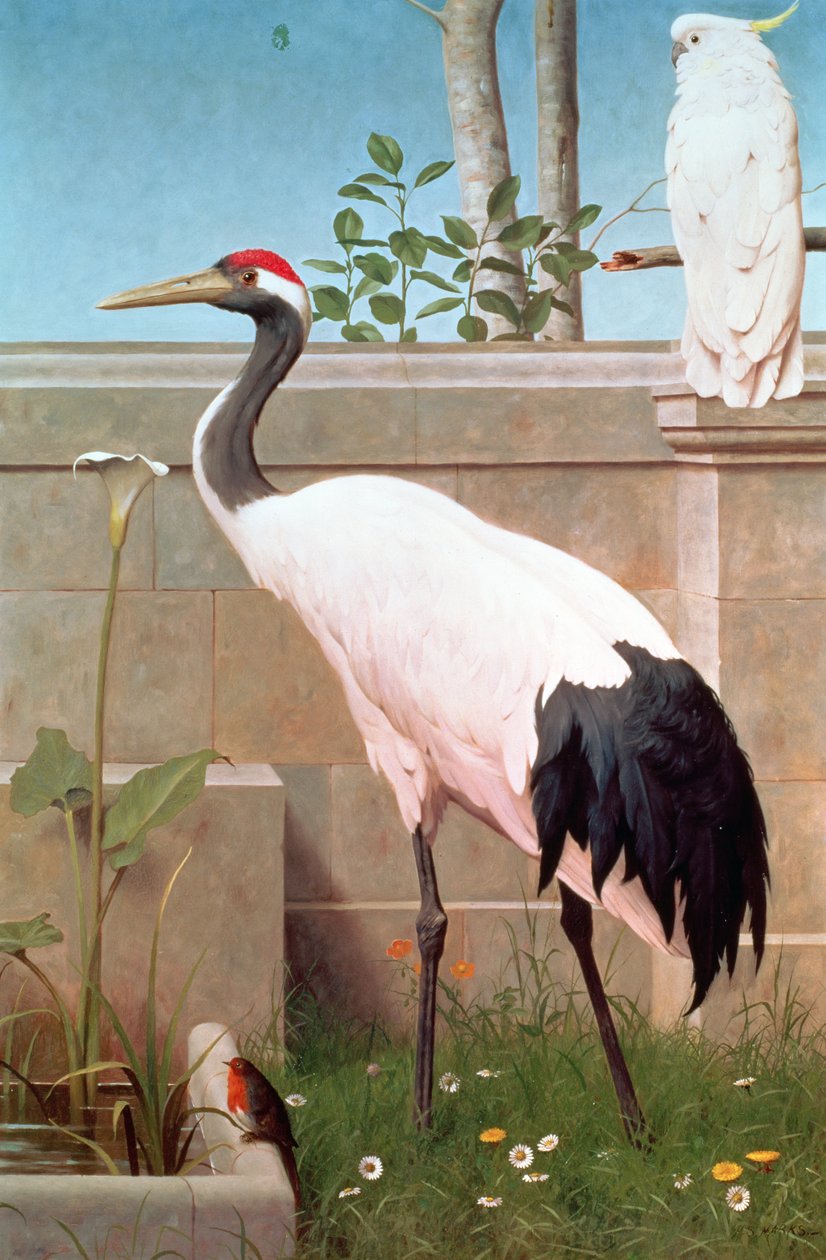 Mantsjoerijse kraanvogel, kaketoe en roodborstje door Henry Stacey Marks