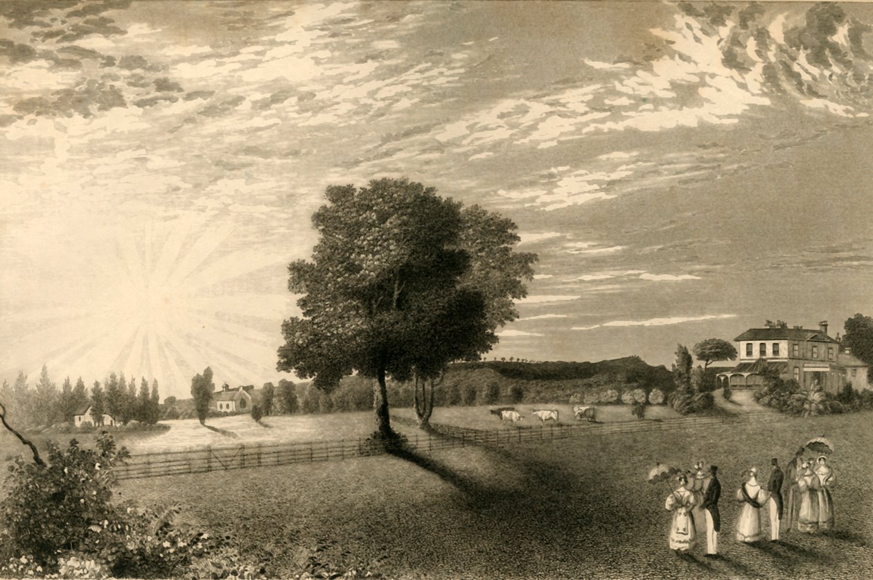 Sennicots door Henry Alexander Ogg