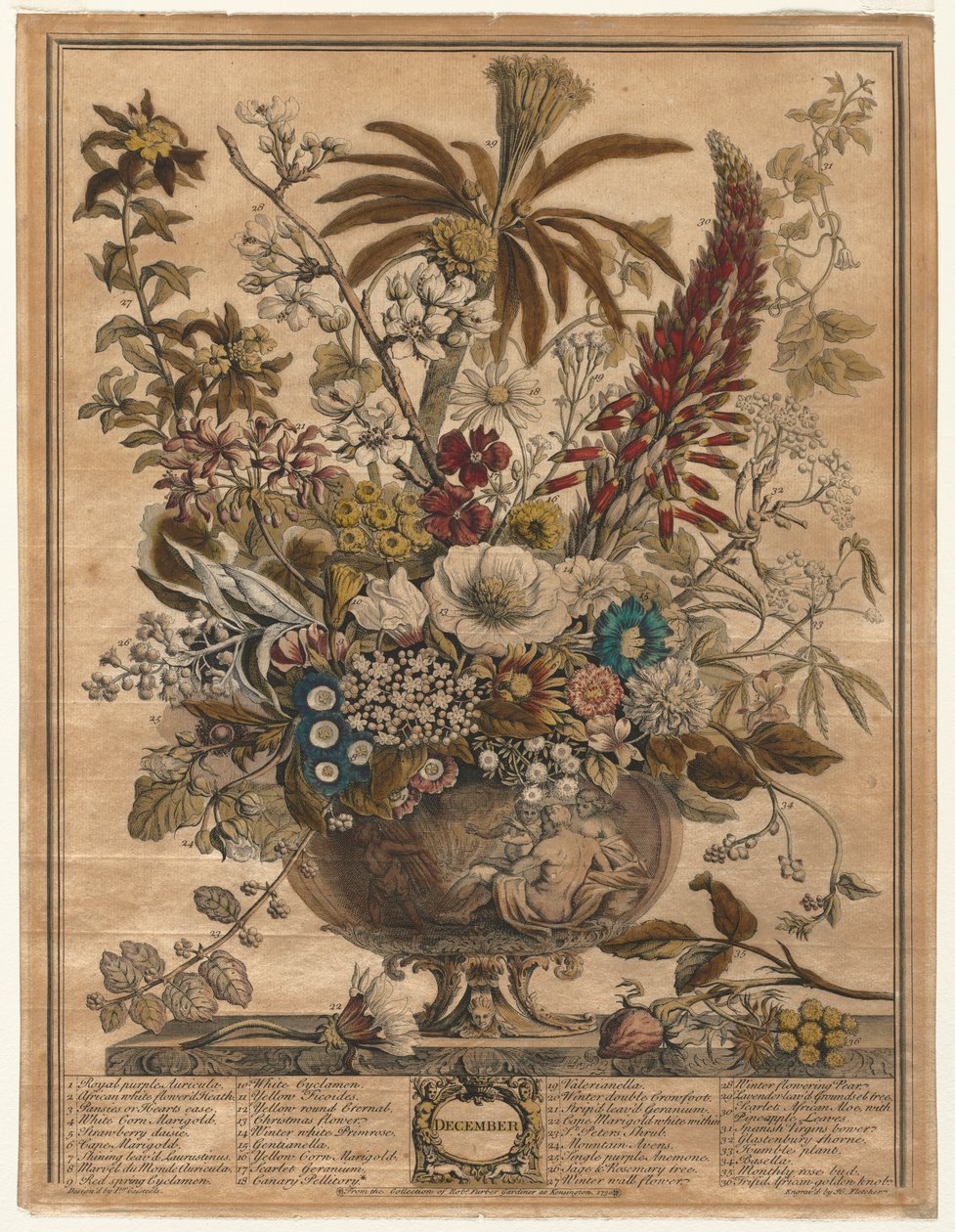 Twaalf maanden bloemen: December door Henry Fletcher