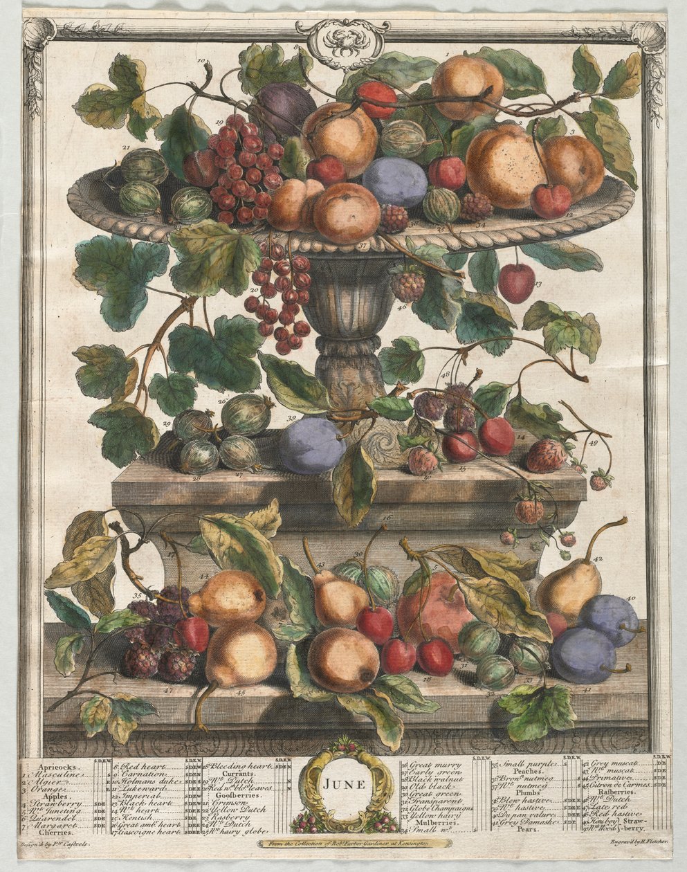 Twaalf maanden fruit: juni door Henry Fletcher