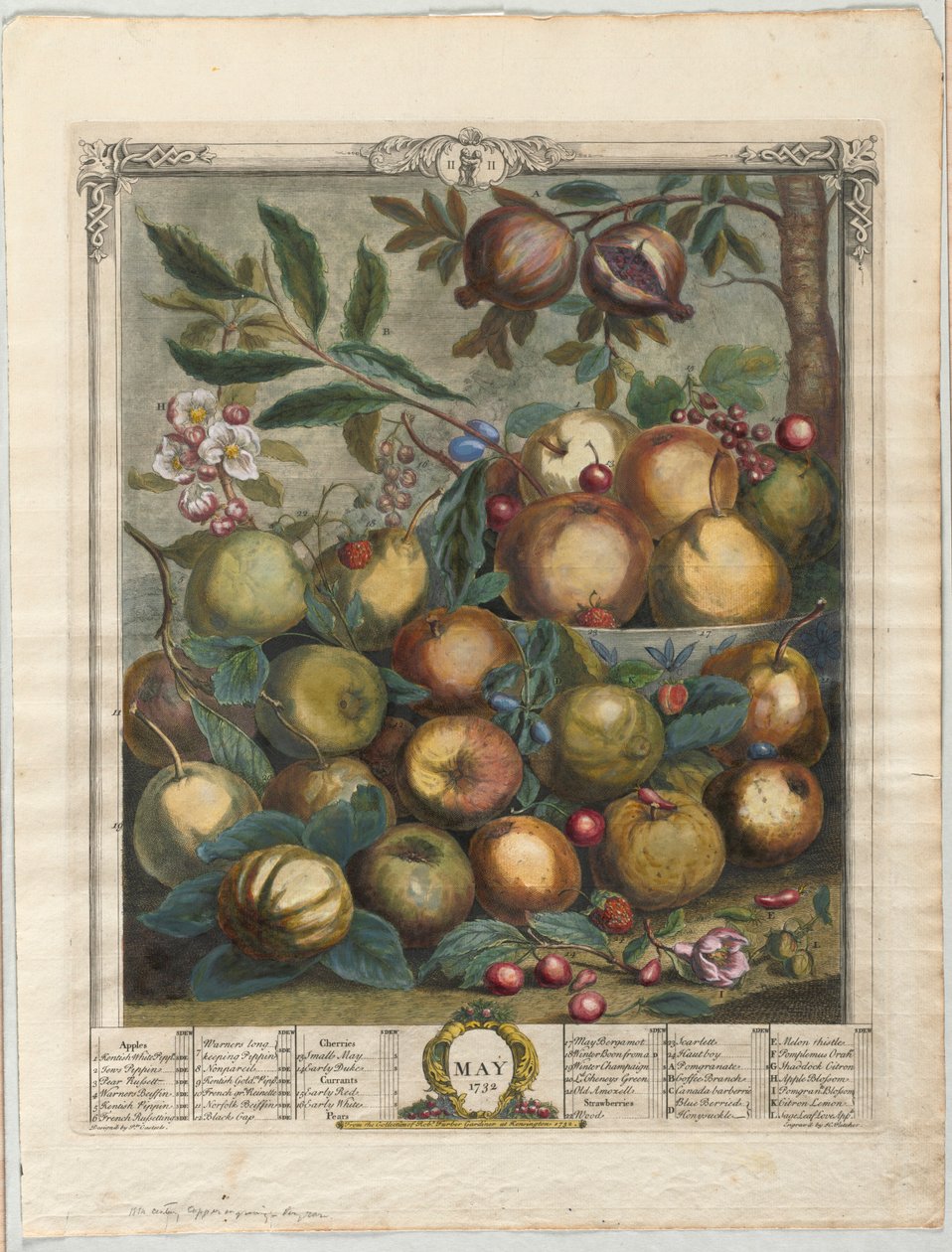 Twaalf maanden fruit:  Mei door Henry Fletcher