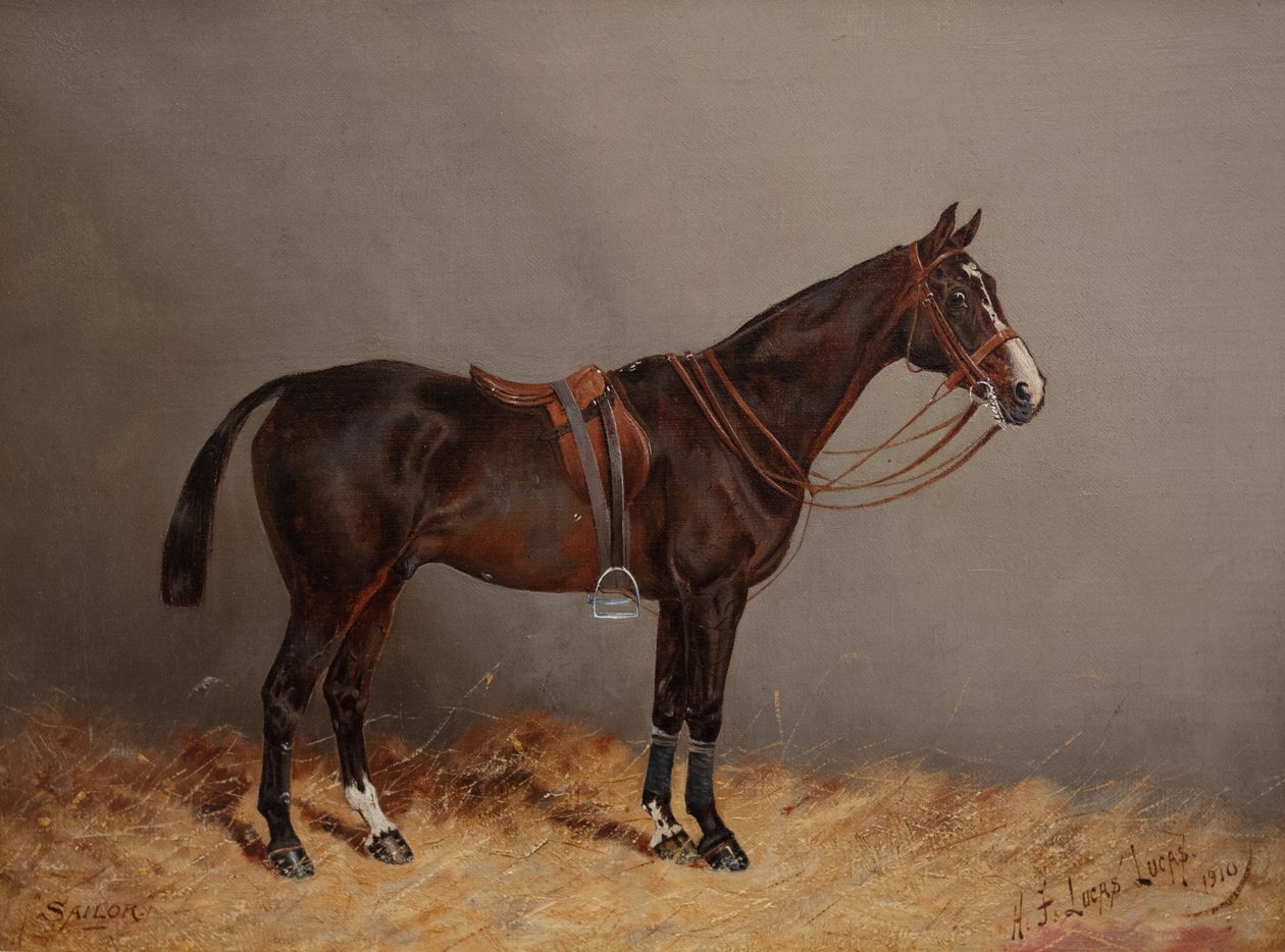 Matroos door Henry Frederick Lucas Lucas