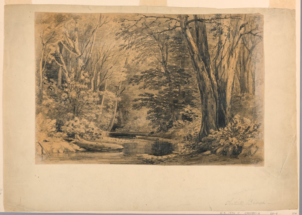 Tekening, Een beek in het bos, 1854 door Henry Hitchings