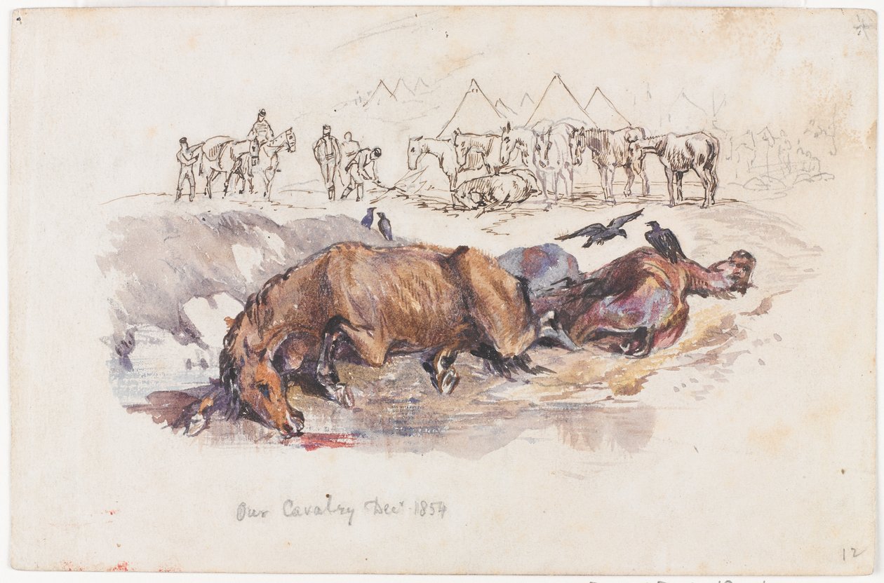 Onze cavalerie, dode paarden door Henry John Wilkinson