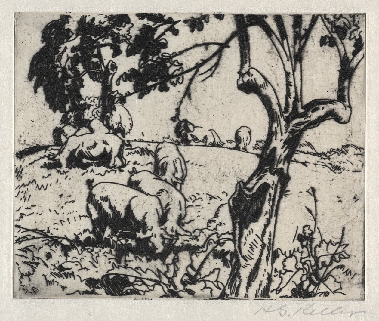 Varkens in boomgaard door Henry Keller