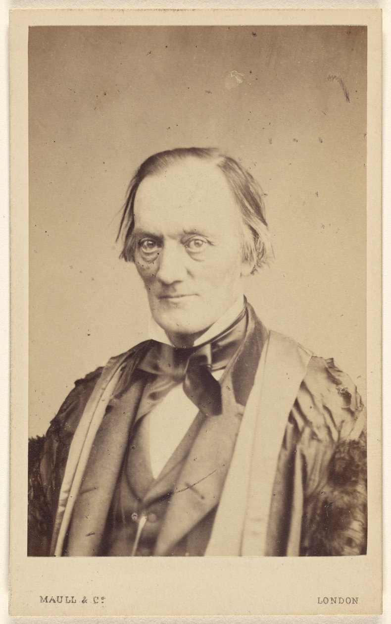 Prof. Owen. door Henry Maull and Co.