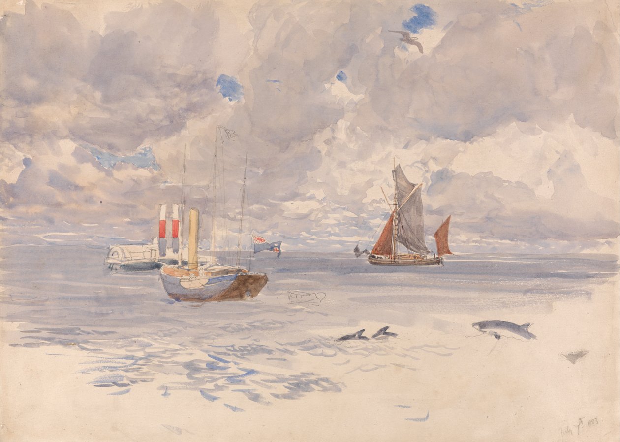 Bruinvissen, 7 juli 1883 door Henry Moore