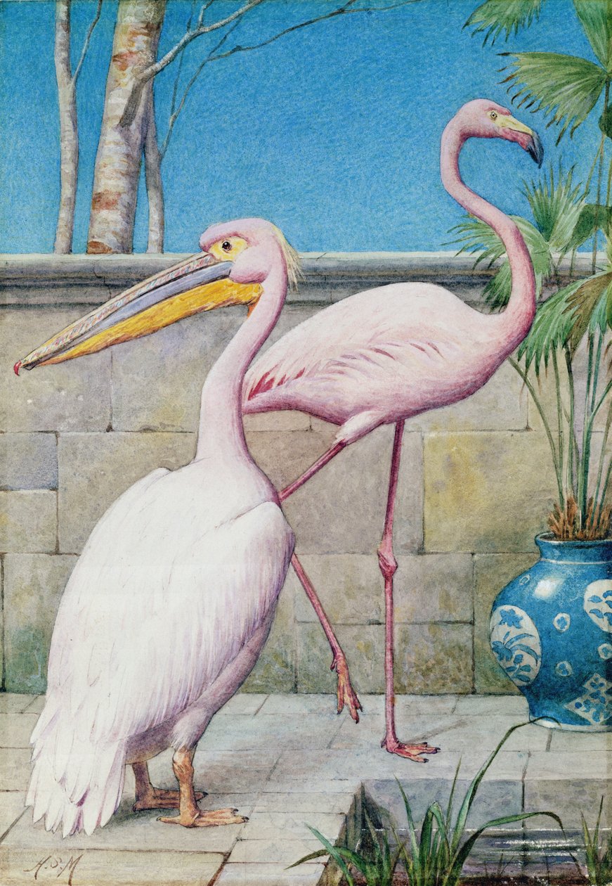 Pelikaan en Flamingo door Henry Stacey Marks