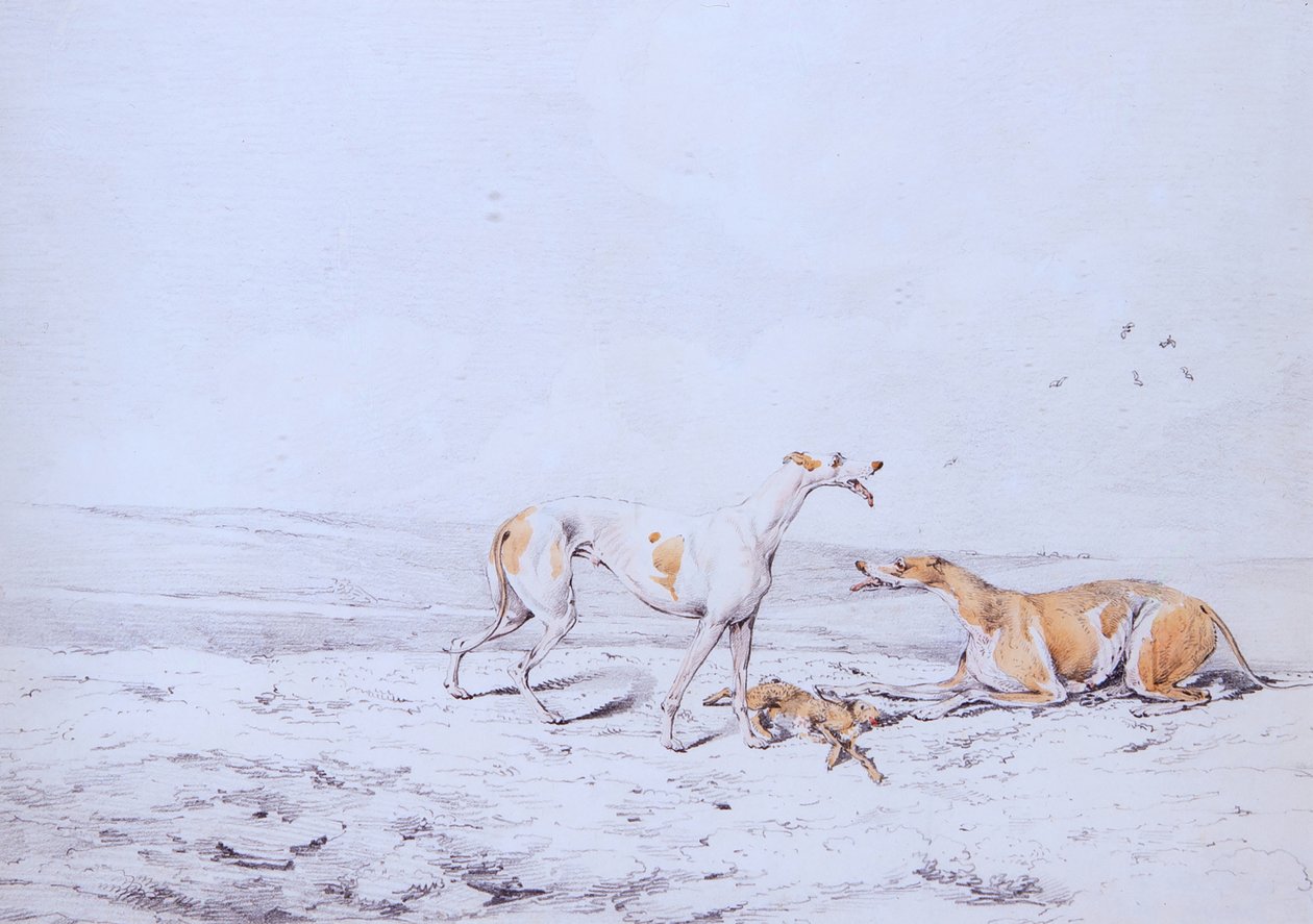 Coursing, een paar door Henry Thomas Alken