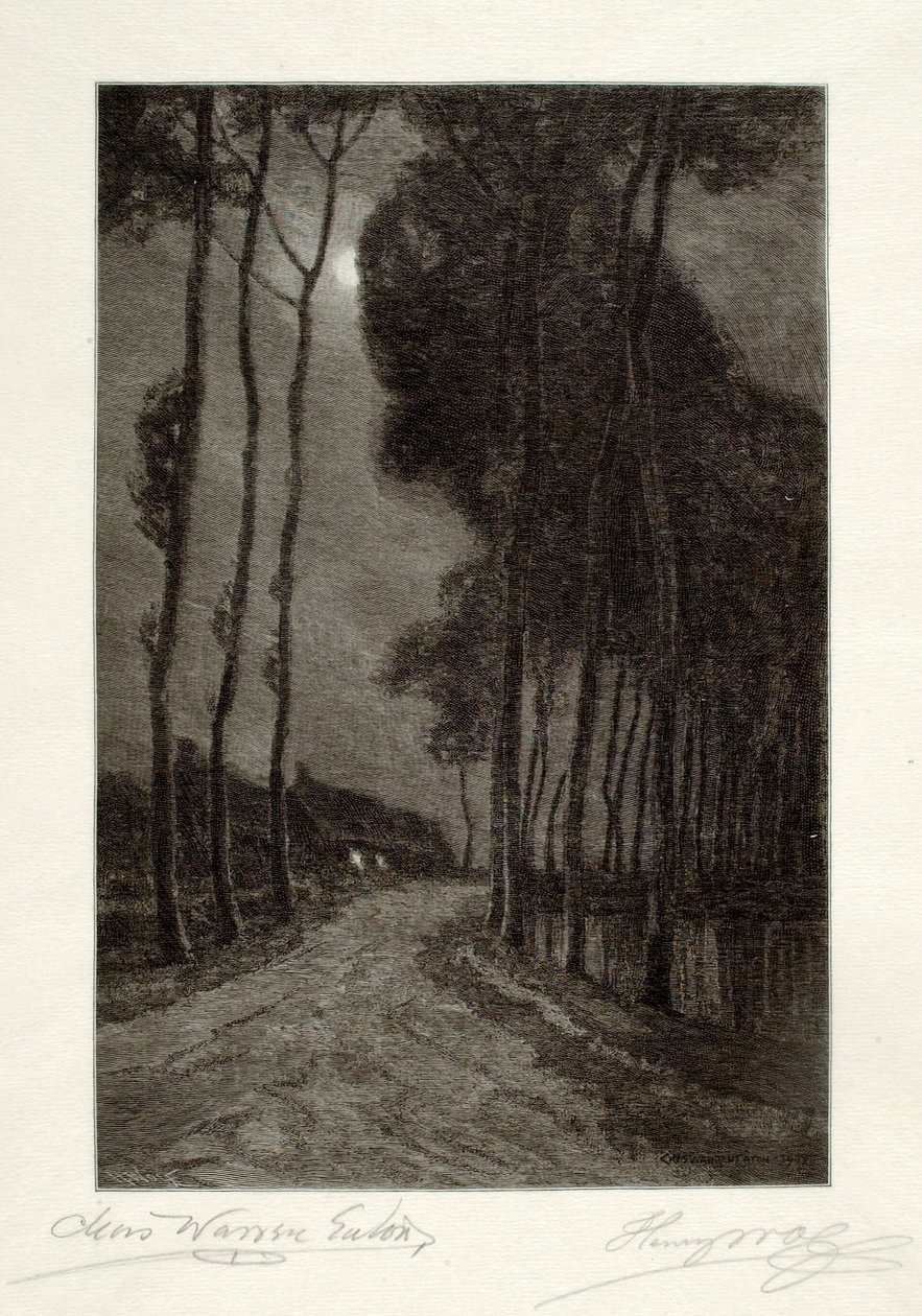 Moonlight in Holland door Henry Wolf