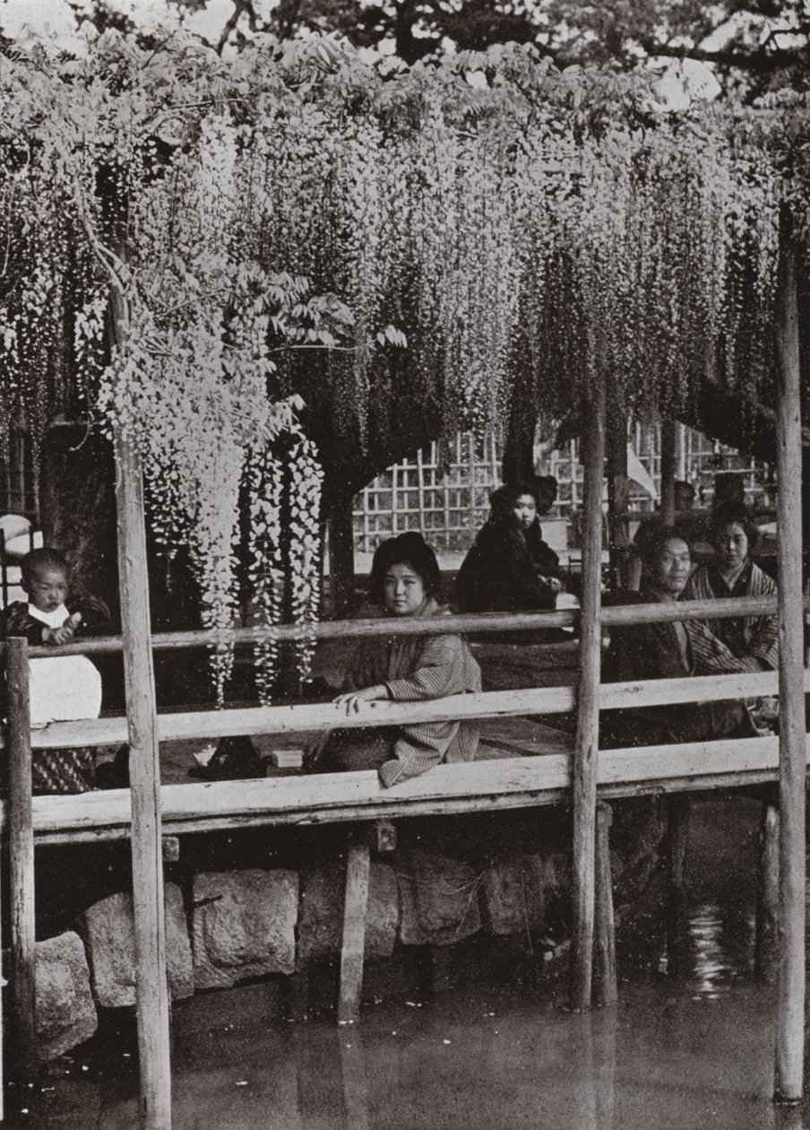 Een Wisteria Prieel in Kameido (zw/w foto) door Herbert Ponting