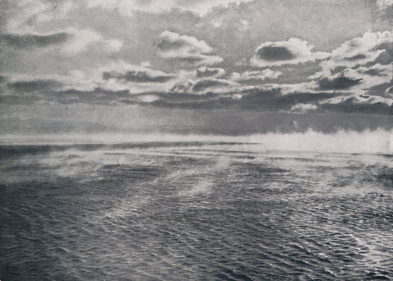 Vorst-Rook door Herbert Ponting