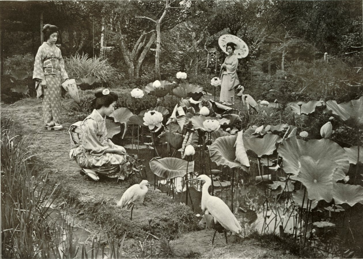 In Lotus-Land, 1910 door Herbert Ponting
