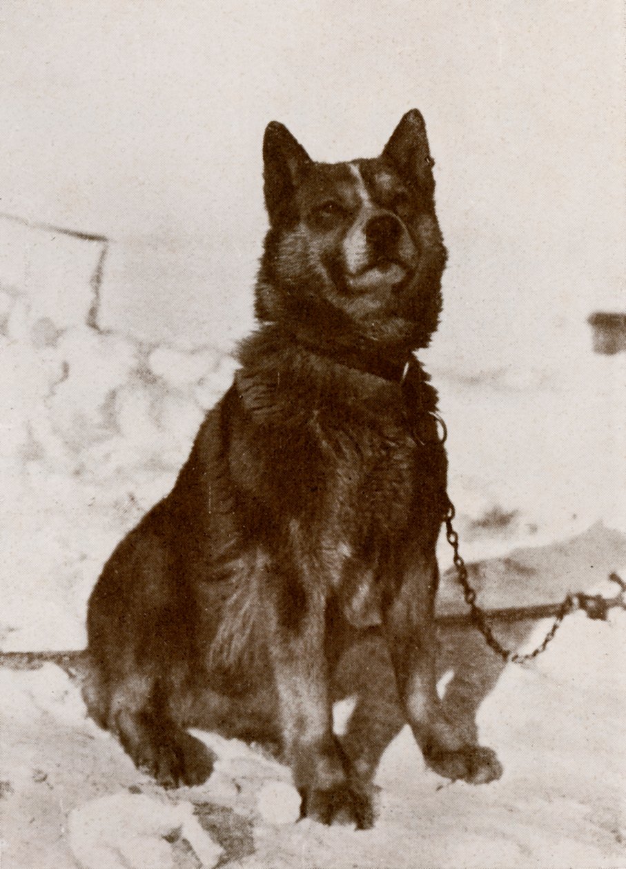 Krisravitsa, ca. 1910-1913, 1913 door Herbert Ponting
