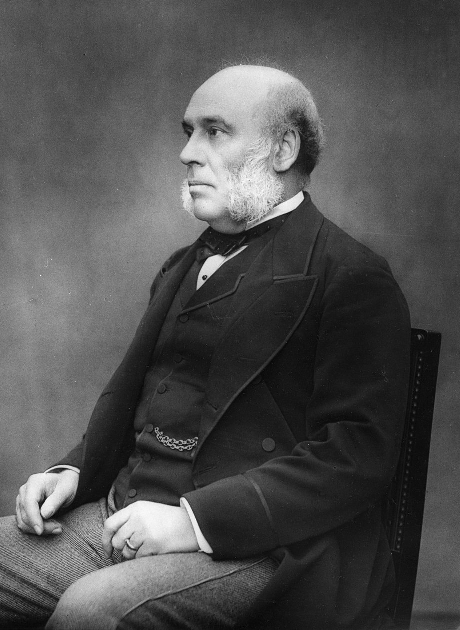 W. H. Smith, 1880 door Herbert Rose Barraud