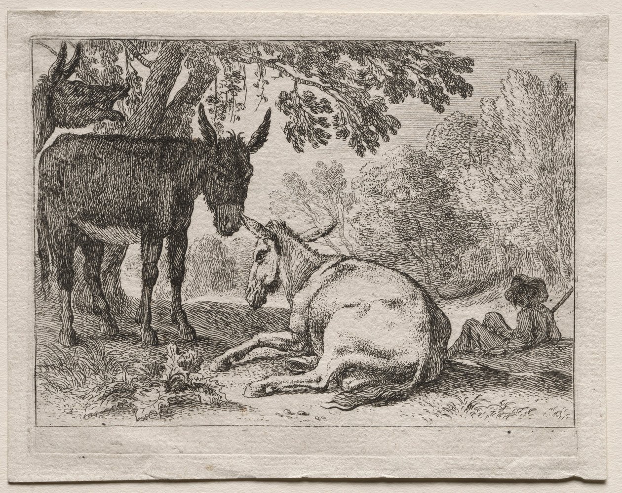 Ezels door Herman van Swanevelt