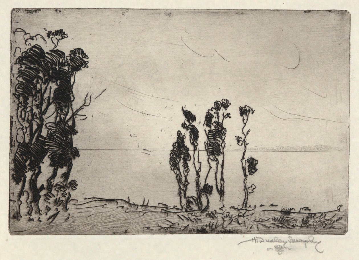 Kustlandschap door Hermann Dudley Murphy