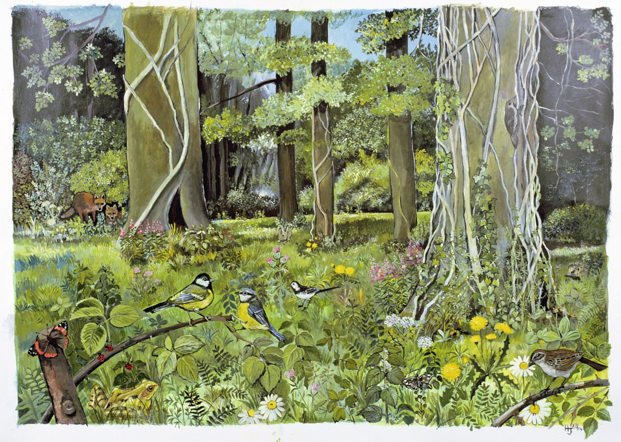 Achter de Squires, Devon door Hilary Jones