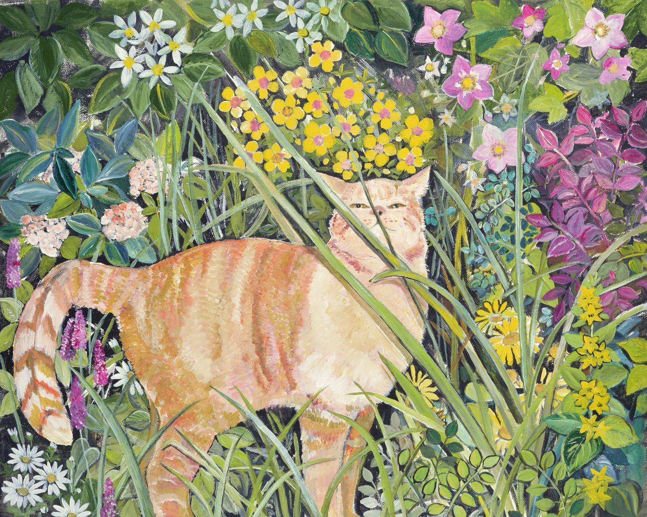 Kat en lang gras door Hilary Jones
