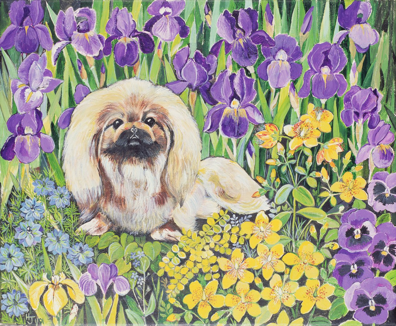 Wilma door Hilary Jones