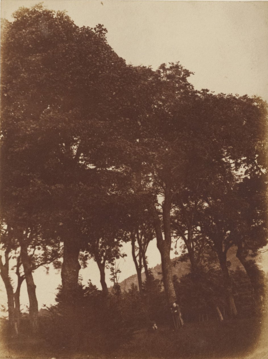 [Veld bij Bonaly]. door Hill and Adamson