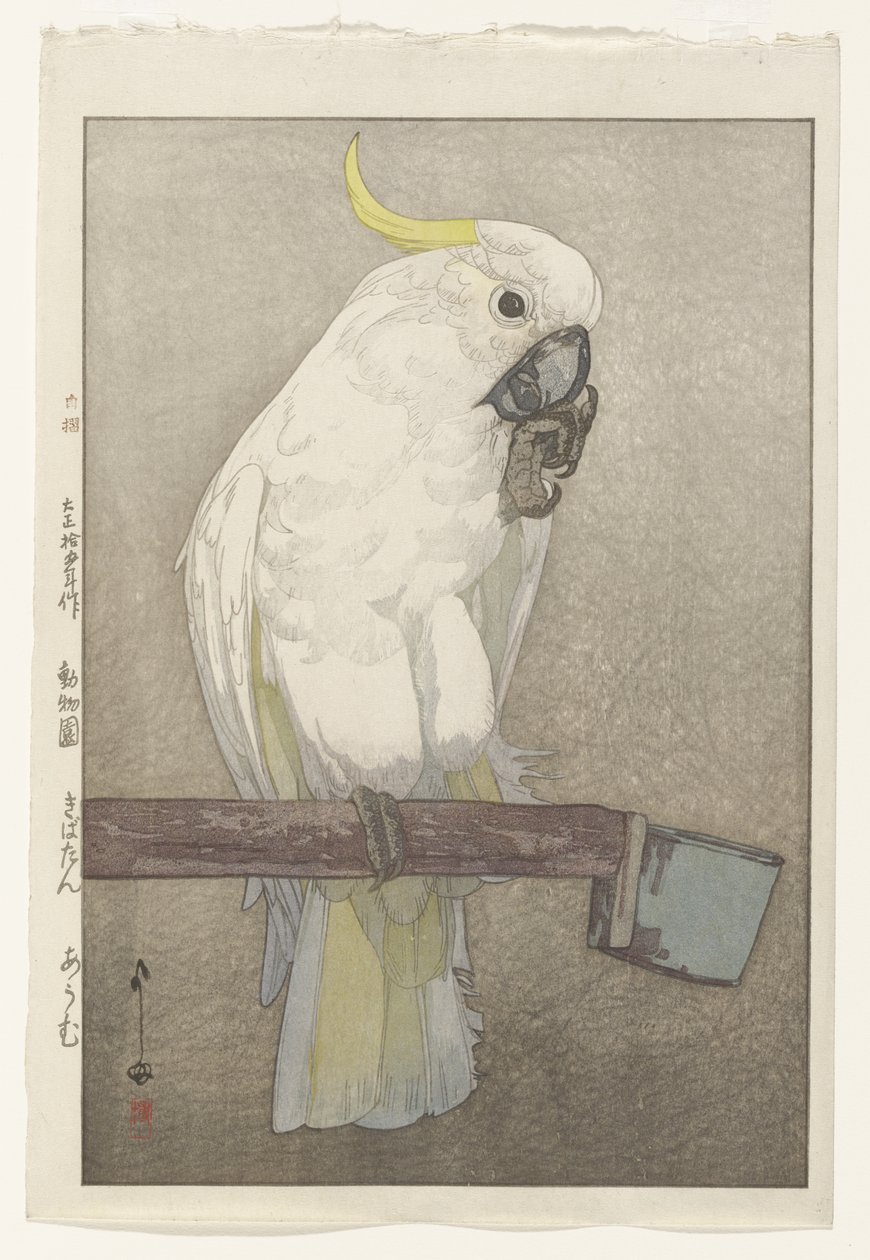 Zwavelkuifkaketoe door Hiroshi Yoshida