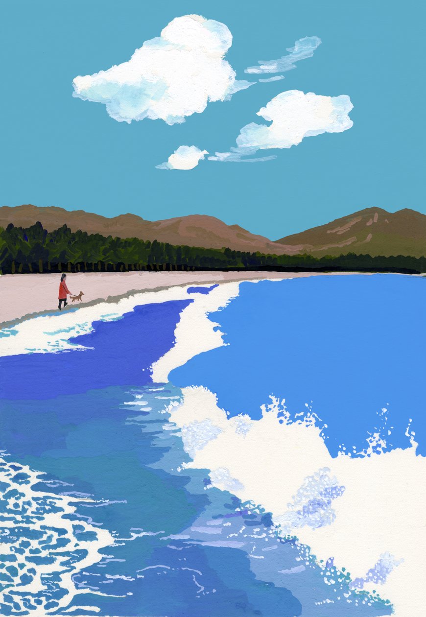 Strand en Pijnboombos door Hiroyuki Izutsu