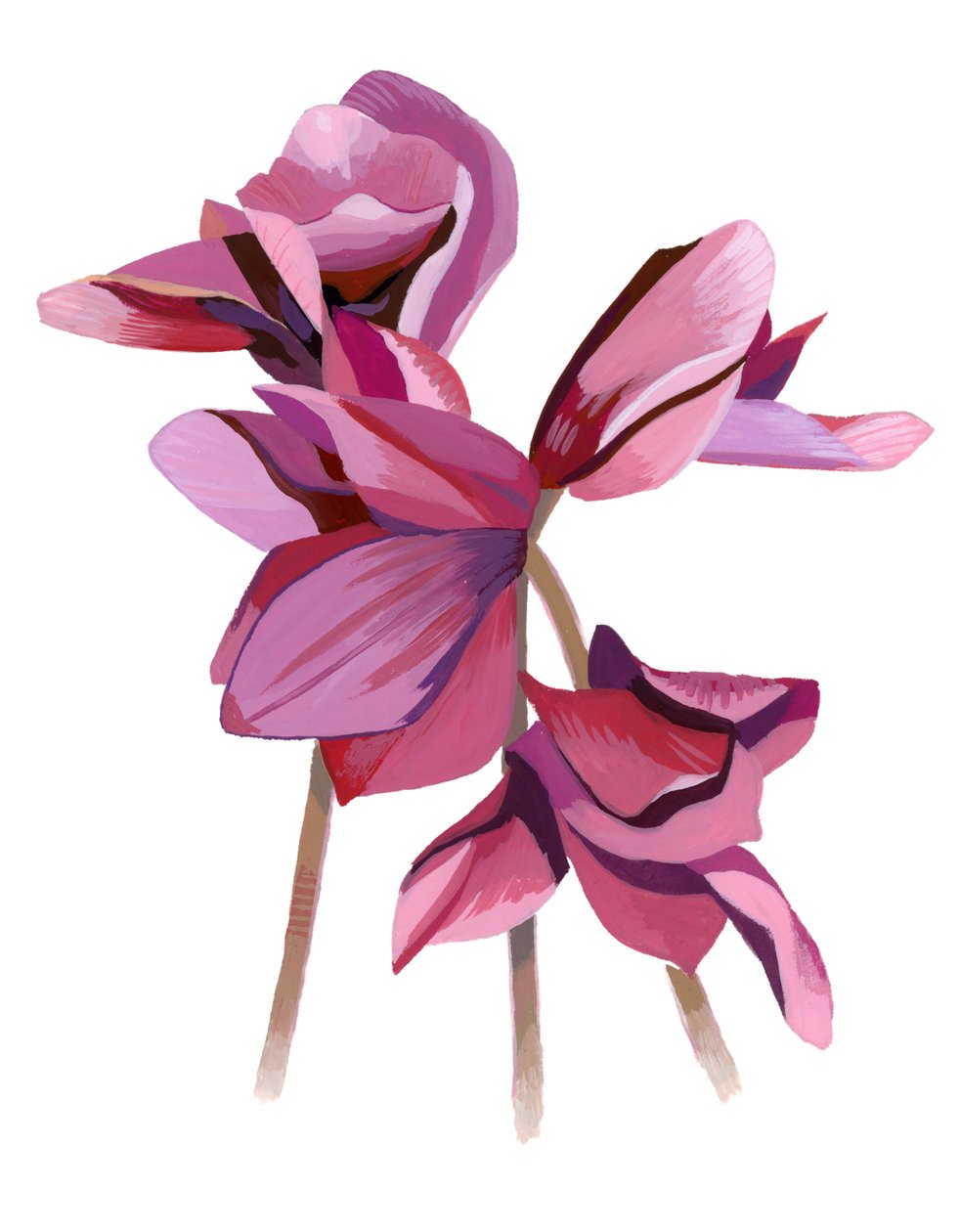 Cyclamen door Hiroyuki Izutsu
