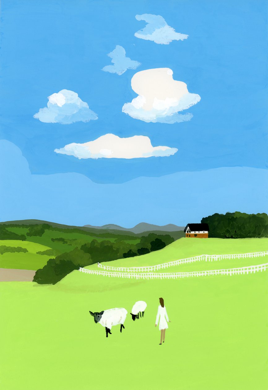 Prairie en schapen door Hiroyuki Izutsu