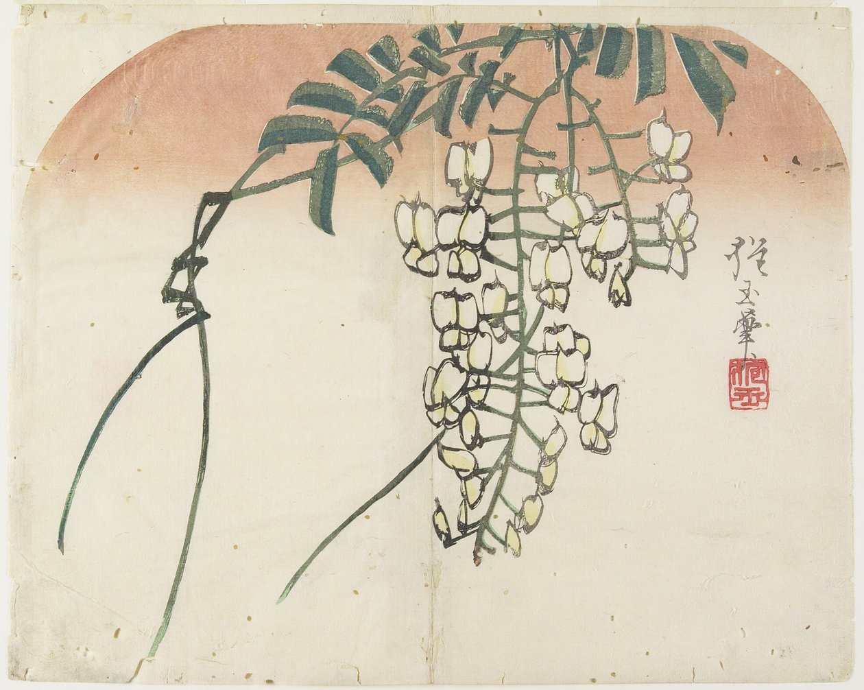 (Witte Wisteria), c. 1830 door Hogyoku