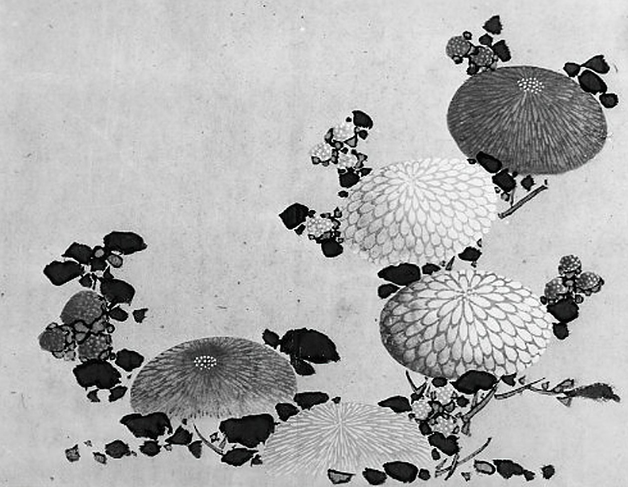 Chrysanten, 19e eeuw door Hokusai School.