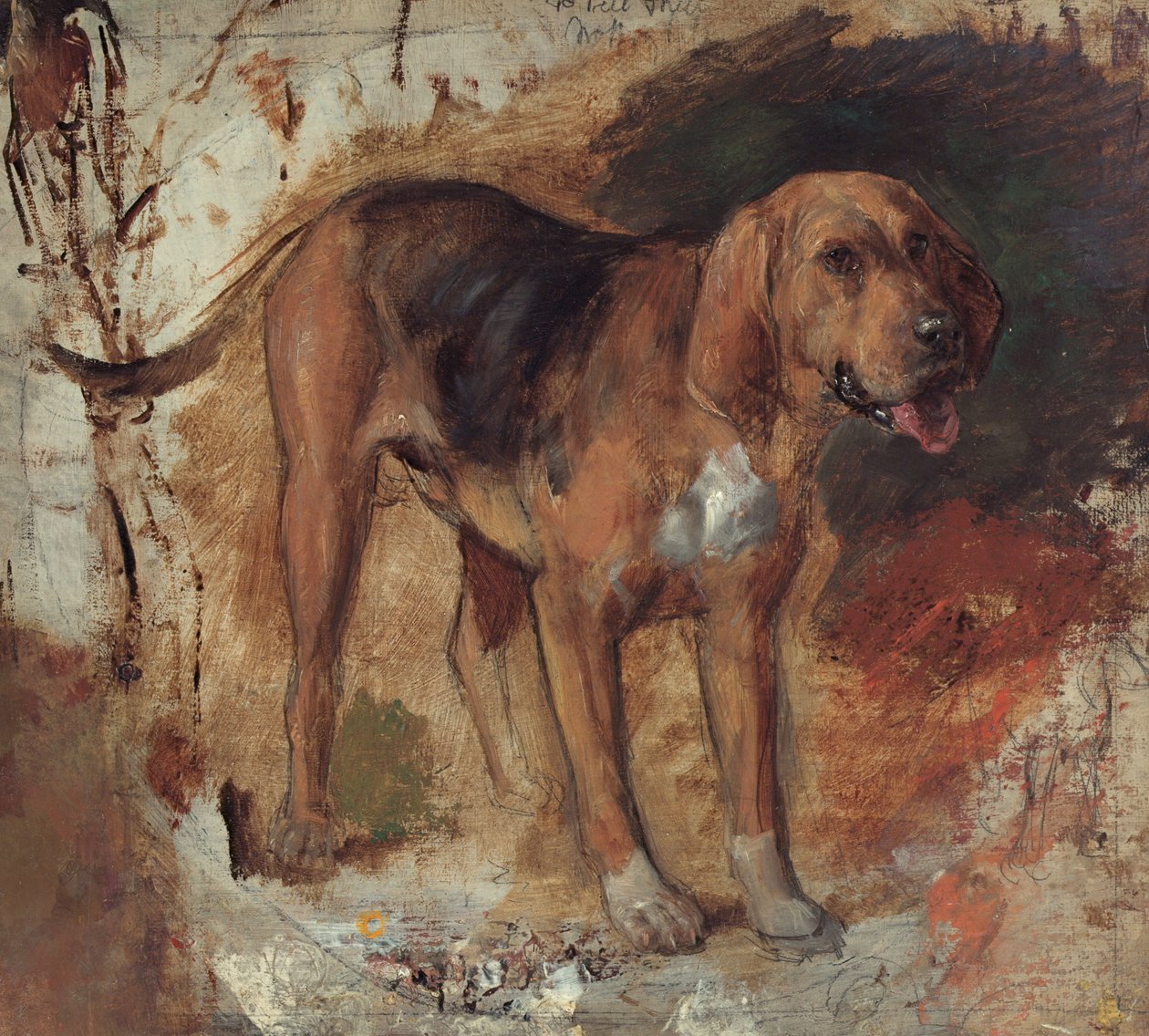 Studie van een bloedhond door William Holman Hunt