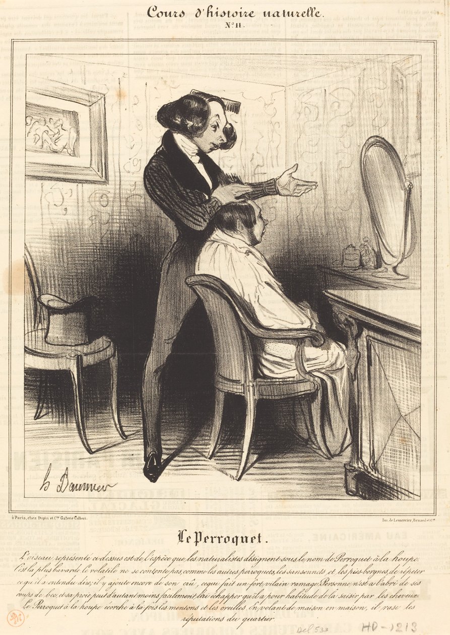 De Papegaai door Honoré Daumier
