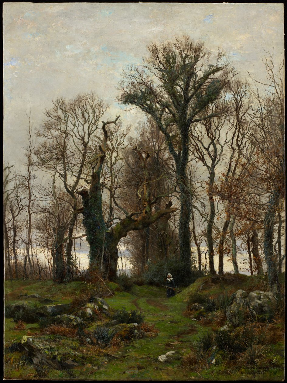 Rand van de heide, Bretagne, 1877 door Hugh Bolton Jones
