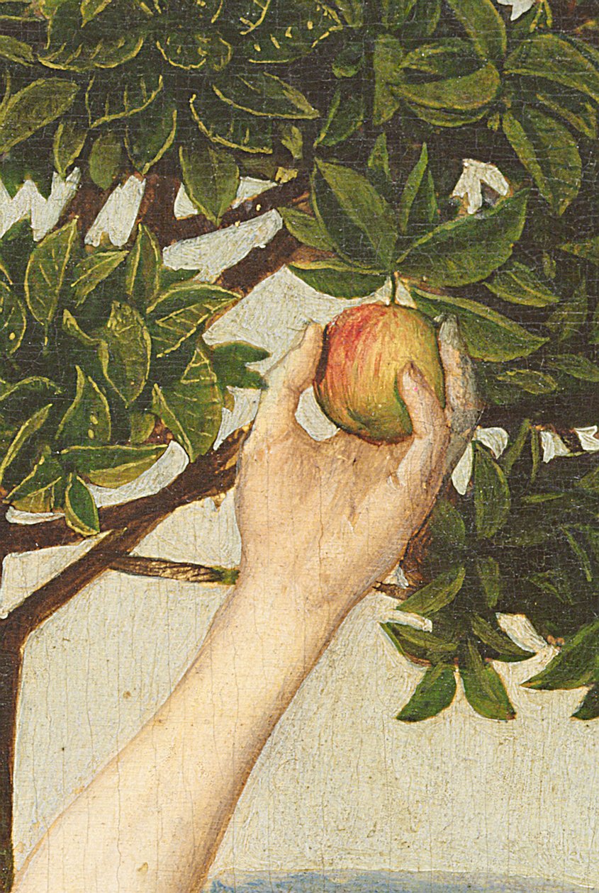 De Val (detail) door Hugo van der Goes