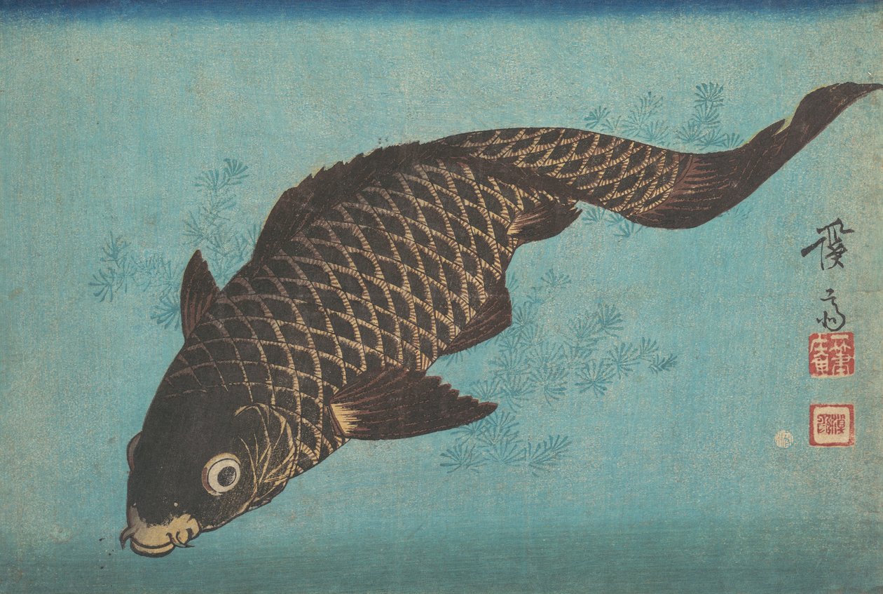Koi door Ikeda Eisen