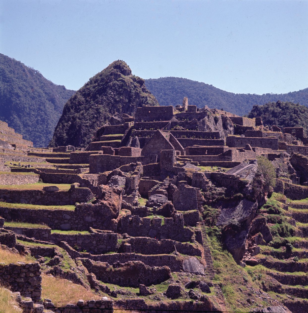 Terrasgebouwen van de citadel in Machu Picchu door Incan