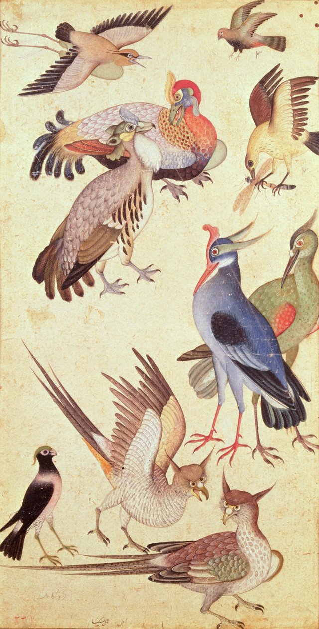 Tien vogels door Indian School
