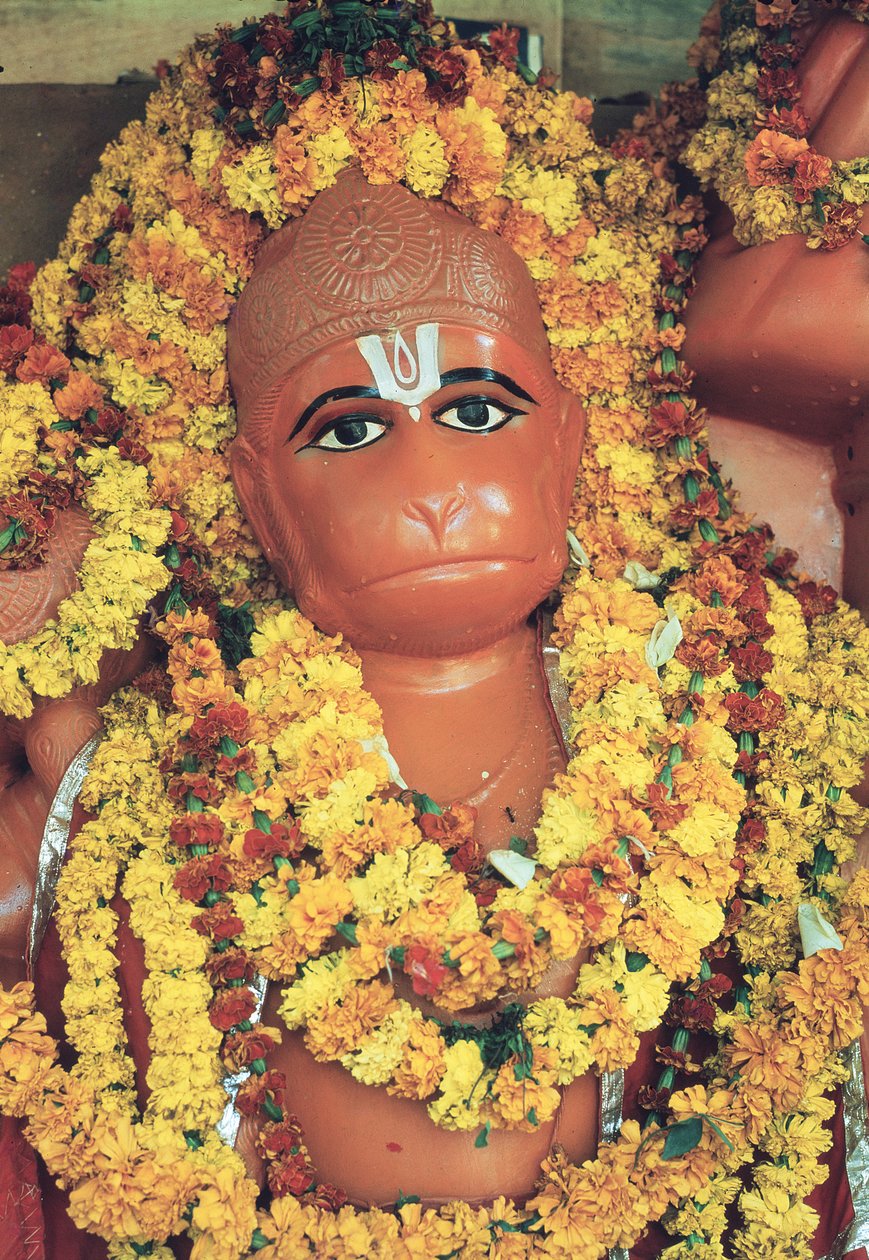 Hanuman, de Aapgod door Indian School