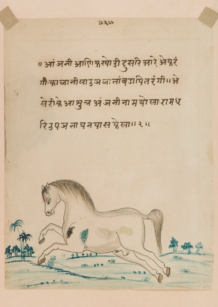 Paard door Indian School