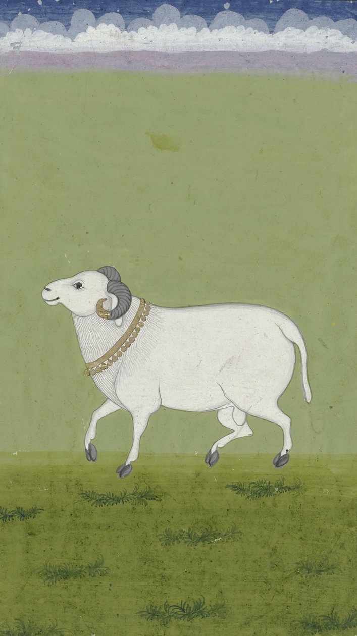 Ram met gouden halsband, 1700-1799 door Indian School