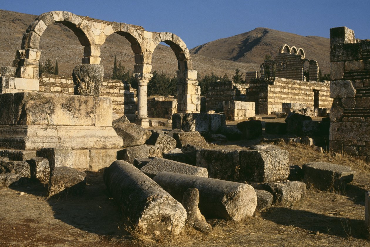 Algemeen zicht, Umayyad Periode (661-750) door Islamic School